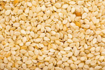 Sesame Seeds Closeup