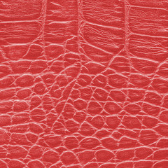 fragment of snake skin painted in red closeup