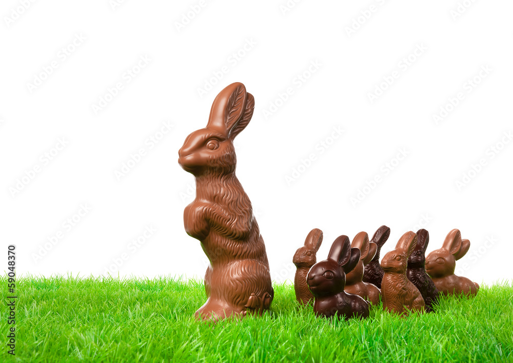 Wall mural Chocolate bunnies