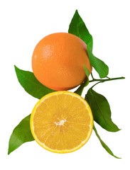 Fresh sliced orange fruits with leaves isolated on white