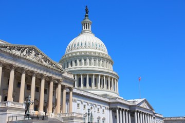 Naklejka premium US Capitol in Washington DC