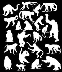 twenty two white isolated monkey silhouettes