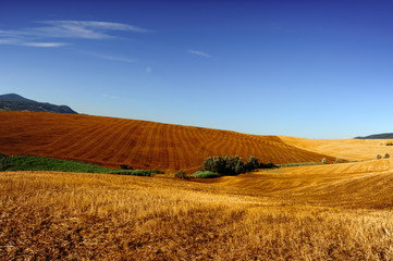 Tuscany