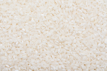 Rice Seeds Background