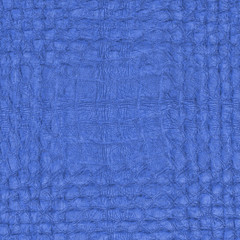 painted in blue fragment of snake skin