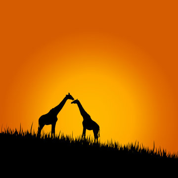 giraffe in wilderness color vector illustration