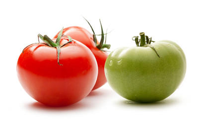 Red and green tomatoes