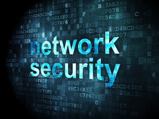 Privacy concept: Network Security on digital background