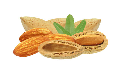 almond nuts on a white background
