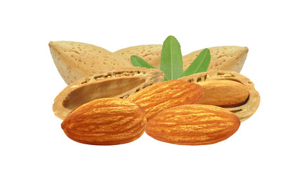 almond nuts on a white background