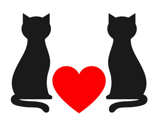 background with two cats