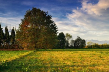 autunno in campagna