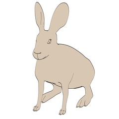 Fototapeta na wymiar cartoon image of hare animal