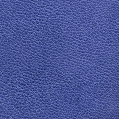 blue leather texture closeup.
