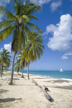 Hawksbill Beach, Antigua