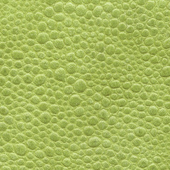 Obraz premium yellow-green leather texture