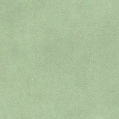 light greenish leather texture.