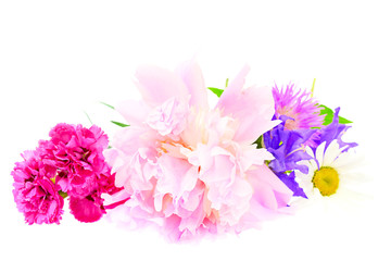 A bouquet of peony, carnation and clover isolated on white backg