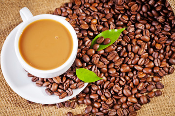 coffee cup and arabica beans on cloth sack