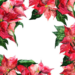 Poinsettias Frame