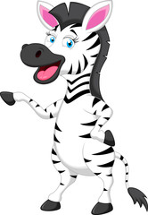 Funny zebra cartoon