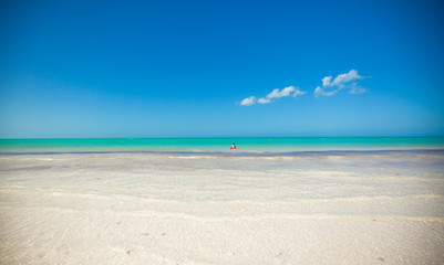 Fototapeta na wymiar Tropical deserted perfect beach on island