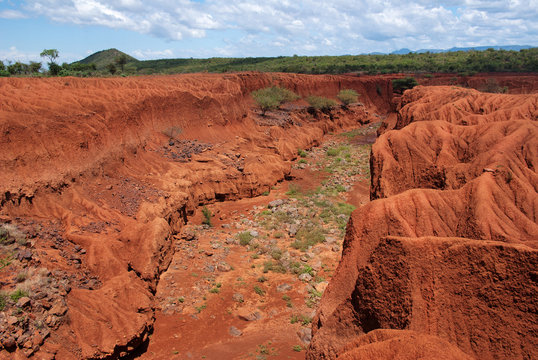 Landscape With Soil Erosion, Kenya