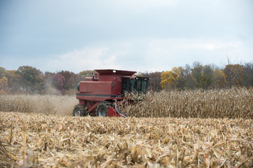 Naklejka premium Combining corn field
