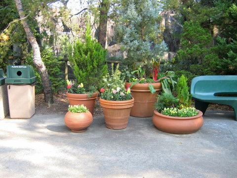 Gruppo di vasi