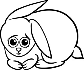 baby rabbit bunny coloring page
