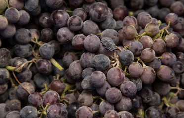 black grapes as background