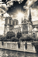 Wonderful sky on Notre Dame Cathedral, Paris - obrazy, fototapety, plakaty