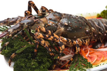 lobster