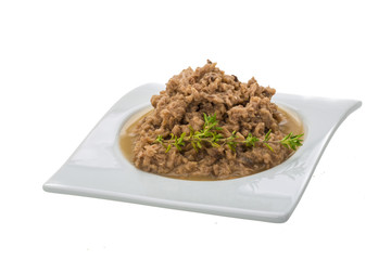 Canned Tuna fillet