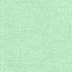 light green textile texture as background