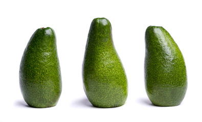 avocado