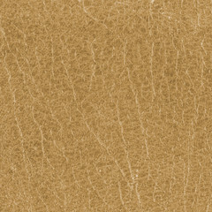 brown leather texture.