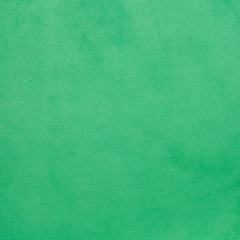 Naklejka na ściany i meble Tekstury skóry zbliżenie zielony
