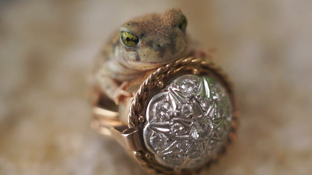 Frog Prince Ring Fairytale Fantasy