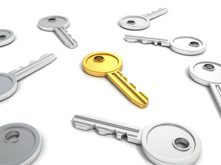 successful golden key in others metallic keys