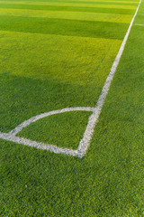 Obraz premium Football court grass