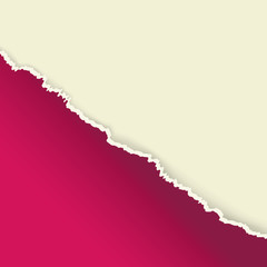 The piece of violet blank torn paper