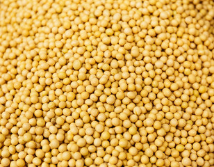 Yellow Mustard Seed