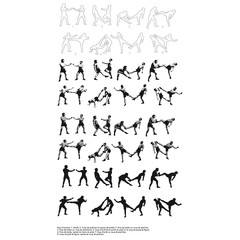 Boxe Fran&ccedil;aise