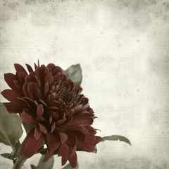 textured old paper background