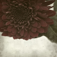 textured old paper background