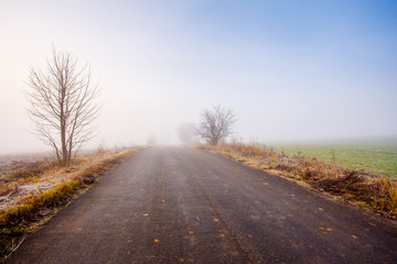 Fototapeta premium rural foggy road going to the mist