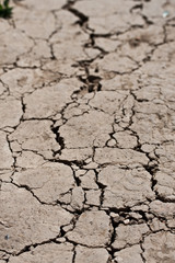 Dry land