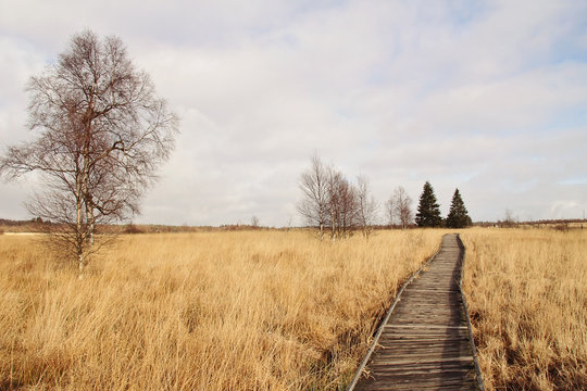 parc naturel des Hautes Fagnes (Belgique)
