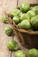 brussels sprouts after harvest in a basket